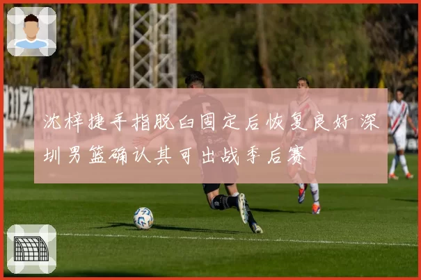 沈梓捷手指脱臼固定后恢复良好 深圳男篮确认其可出战季后赛