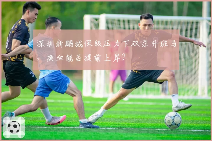 深圳新鹏城保级压力下双杀升班马,换血能否提前上岸?