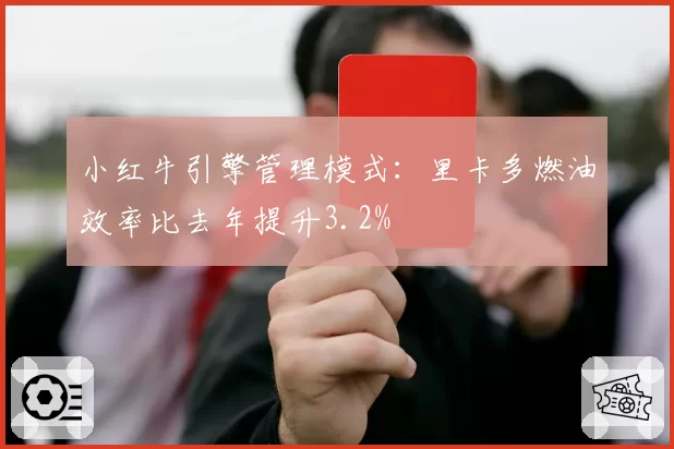 小红牛引擎管理模式：里卡多燃油效率比去年提升3.2%