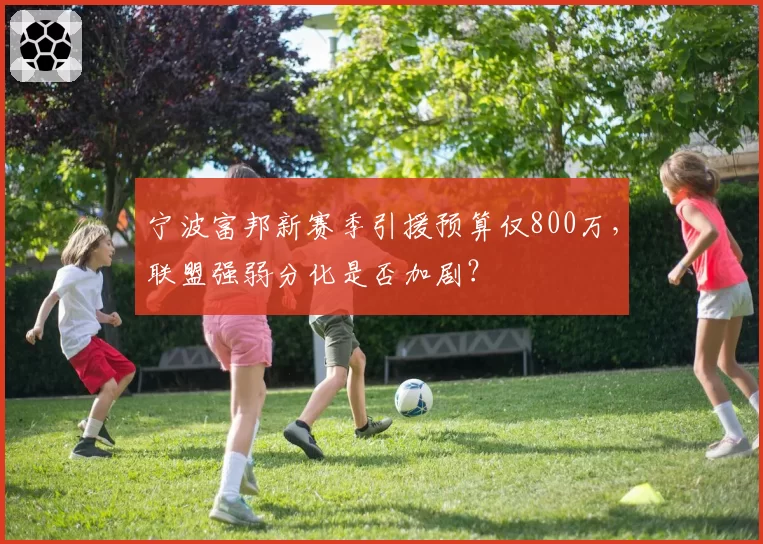 宁波富邦新赛季引援预算仅800万,联盟强弱分化是否加剧?