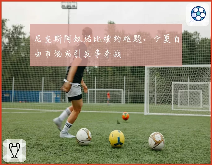 尼克斯阿奴诺比续约难题,今夏自由市场或引发争夺战